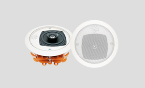 6.5 İnç 2 Yollu Tavan Hoparlörü