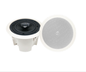 6.5 İnç Arka Kapaklı Tavan İçi Hoparlörler